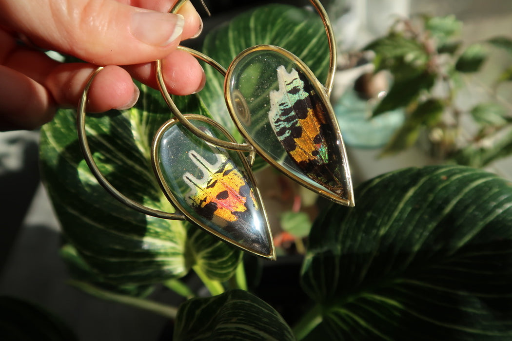 Butterfly Halo Spike Earrings (made to order)