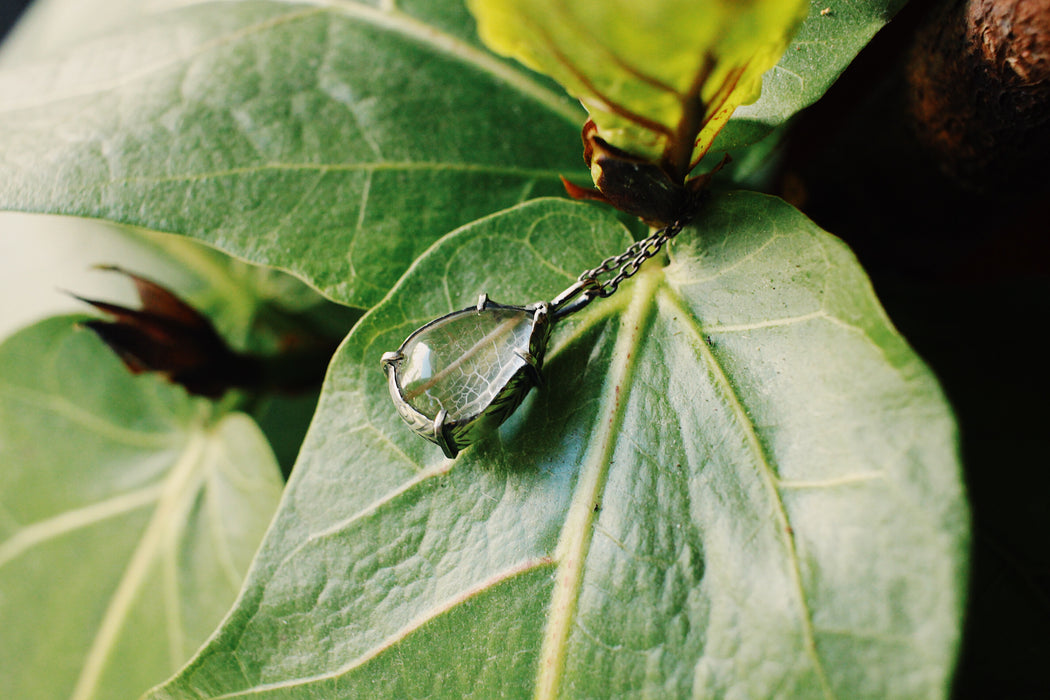 SM Leaf Skeleton Pools of Light Pendant