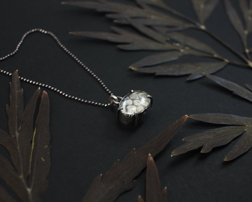 MINI Snakeskin - or - Leaf Skeleton Pools of Light Pendant - select your pendant
